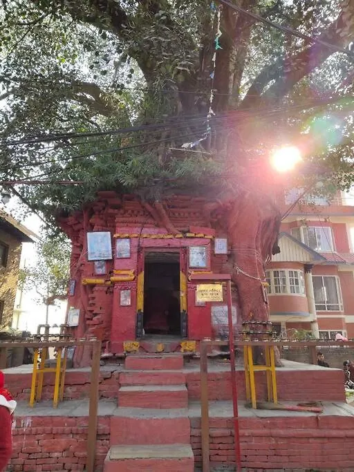 Apartment Hadigaun Boutique Homestay Kathmandu