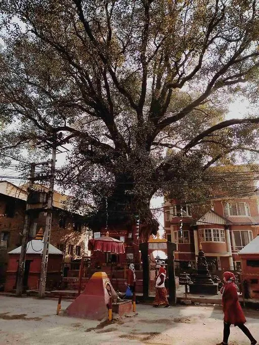 Hadigaun Boutique Homestay Kathmandu Apartment